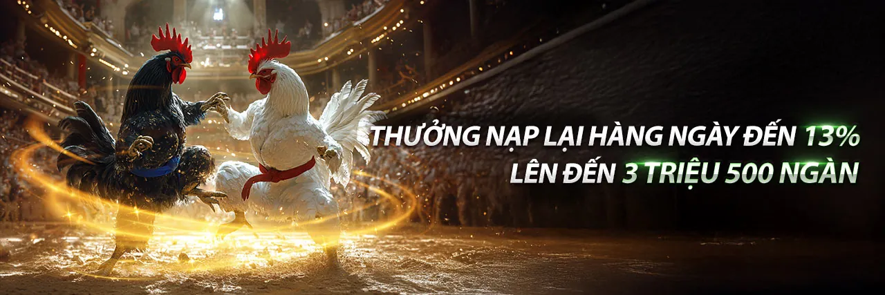 Sân vận động với ánh đèn rực rỡ và người hâm mộ cuồng nhiệt, biểu tượng cho cá cược thể thao trực tuyến